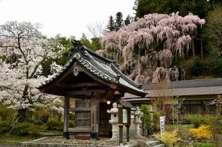 「jun」さんからの投稿写真＠福聚寺