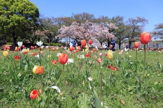 「エンチャヤ」さんからの投稿写真＠浮間公園