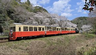 「小湊好き人間」さんからの投稿写真＠小湊鉄道