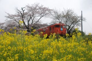 「小湊好き人間」さんからの投稿写真＠小湊鉄道