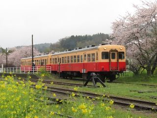 「汐入日本人」さんからの投稿写真＠小湊鉄道
