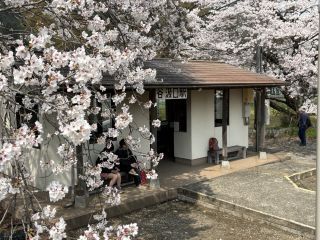 「いーすと金」さんからの投稿写真＠樽見鉄道