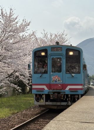 「いーすと金」さんからの投稿写真＠樽見鉄道