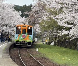 「いーすと金」さんからの投稿写真＠樽見鉄道