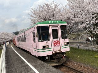 「いーすと金」さんからの投稿写真＠樽見鉄道