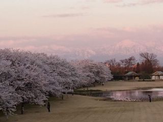 「まるまる」さんからの投稿写真＠富山県中央植物園