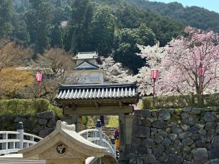 「くまちゃん」さんからの投稿写真＠出石城跡