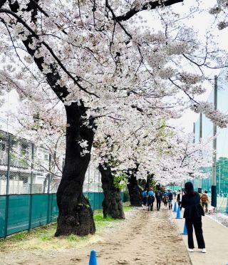 「まゆぼう」さんからの投稿写真＠碑文谷公園