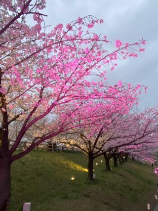 「元寝屋川住民」さんからの投稿写真＠打上川治水緑地