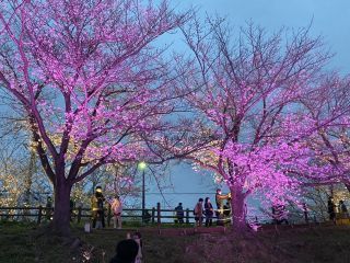 「元寝屋川住民」さんからの投稿写真＠打上川治水緑地