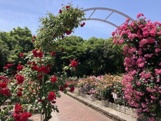 「zerolyst」さんからの投稿写真＠庄内緑地公園