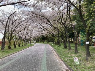 「zerolyst」さんからの投稿写真＠庄内緑地公園