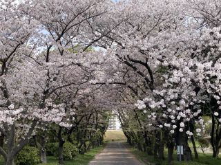 「zerolyst」さんからの投稿写真＠庄内緑地公園