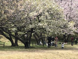 「遅刻坂ガールズ」さんからの投稿写真＠走水水源地