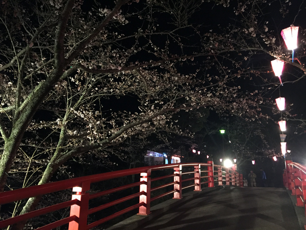 小見川城山公園の桜 花見特集21