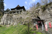 福満虚空藏菩薩 圓藏寺の桜の写真