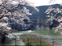 丸山ダム・蘇水峡の桜の写真