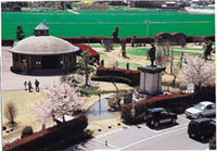 平田公園と大榑川桜並木の写真