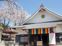 成田山聖代寺の桜の写真