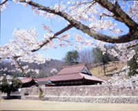 特別史跡旧閑谷学校の桜の写真