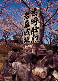四天王林道・岩屋城跡の桜の写真