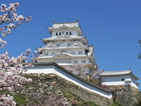 兵庫県のお花見 桜見頃情報 花見特集