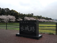 水城跡の桜の写真