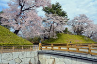 壬生町城址公園の桜の写真