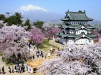 弘前公園の桜の写真