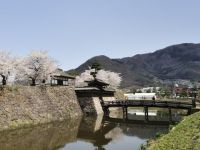 松代城跡の桜の写真