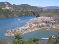 恵那峡の桜の写真