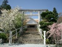 樋の山の桜の写真