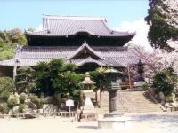 粉河寺の桜の写真