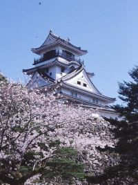 高知公園の桜の写真