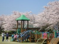 寺山いこいの広場の桜の写真