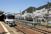 下呂駅周辺の桜の写真