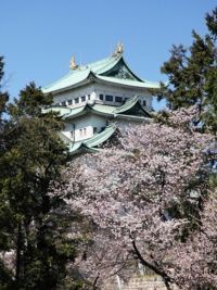名古屋城の桜の写真