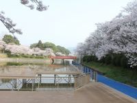 甘木公園の写真