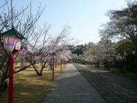 亀岡公園の写真