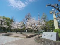 芝公園の桜の写真