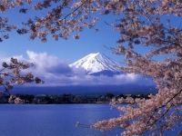 河口湖畔の桜の写真