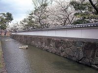 膳所城跡公園の桜の写真