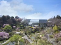 高知県立牧野植物園の桜の写真