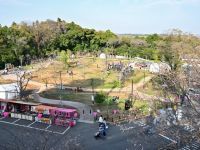 飯山白山森林公園の桜の写真