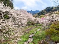 陸郷夢の郷（夢農場）の写真