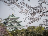 名古屋城の桜の写真