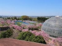 東谷山フルーツパークの写真