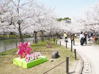亀城公園（愛知県）の桜の写真