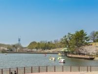 鞍ケ池公園の写真