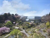 高知県立牧野植物園の桜の写真